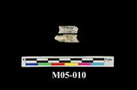 藏品(石膏)的圖片